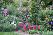 Juli         0823.webp