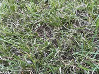 IMG_8219.webp