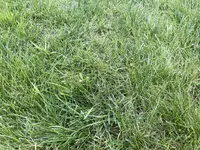 IMG_8211.webp