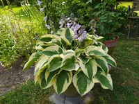 IMG_20230704_122606.webp