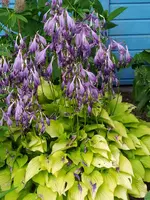 IMG_20230704_122022.webp