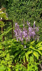 IMG_20230704_122924.webp