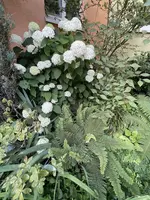 ECBA8051-E7C1-49A8-8A9C-02FF061B4CEE.jpeg