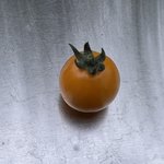 IMG_6512.jpeg