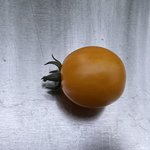 IMG_6511.jpeg