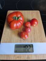 PXL_20230706_111734962.jpg