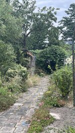 IMG_7584.jpeg