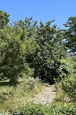 IMG_6962.jpeg