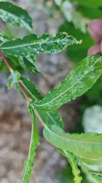 20230707_084732.webp
