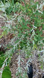 20230707_090207.webp