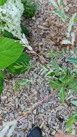 20230707_090354.webp
