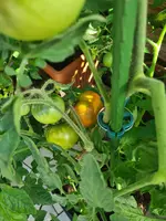 20230707_091930.webp