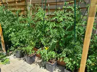 20230707_122918.webp