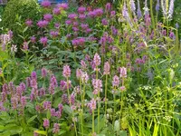 IMG_20230707_141021.webp