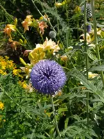 IMG_20230704_121839.webp