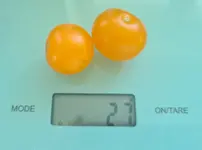 20230707_181014.jpg