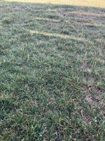 IMG_1681.jpeg