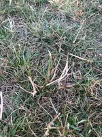 IMG_1680.webp