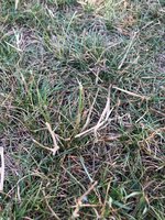IMG_1680.jpeg