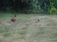 DSC03086.JPG
