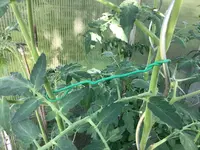 IMG_0332.jpeg