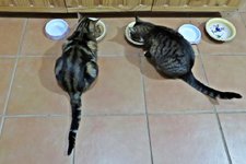 IMG_2397 - Copy.JPG