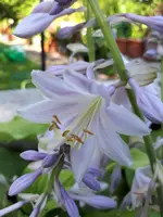 20230708_095150.webp