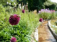 DSCN5007.webp