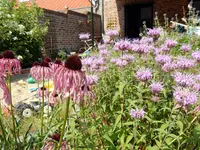 DSCN5011.webp