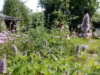 DSCN5014.webp