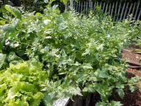 DSCN5017.webp
