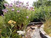 DSCN5020.webp