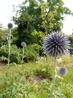 DSCN5028.webp