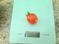 20230709_164718.jpg