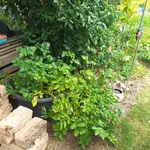 20230708_114823.webp