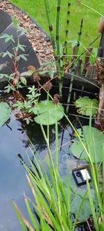 20230709_212250.jpg