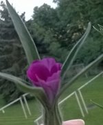 WP_20230709_21_07_13_Pro.jpg