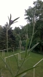 WP_20230709_21_07_00_Pro.jpg
