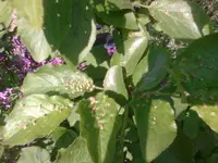 Foto1231.webp