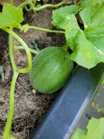 20230709_202425.webp