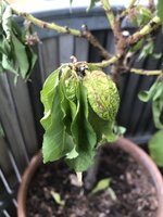 IMG_6314.JPG