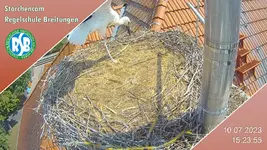 bild.webp