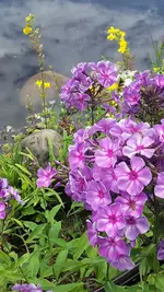 202307_104120.webp