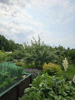 20230710_111917.jpg