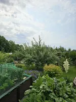20230710_111917.webp