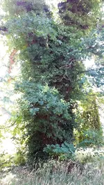 20230707_135938.webp