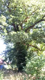 20230707_140136.webp