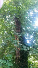20230707_140944.webp