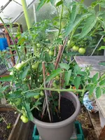 IMG_20230710_191050.webp
