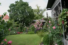 Juli         2123.webp